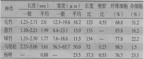 表1  幾種竹材與常用木材纖維形態對比